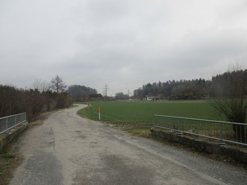 n_Bild (10).jpg