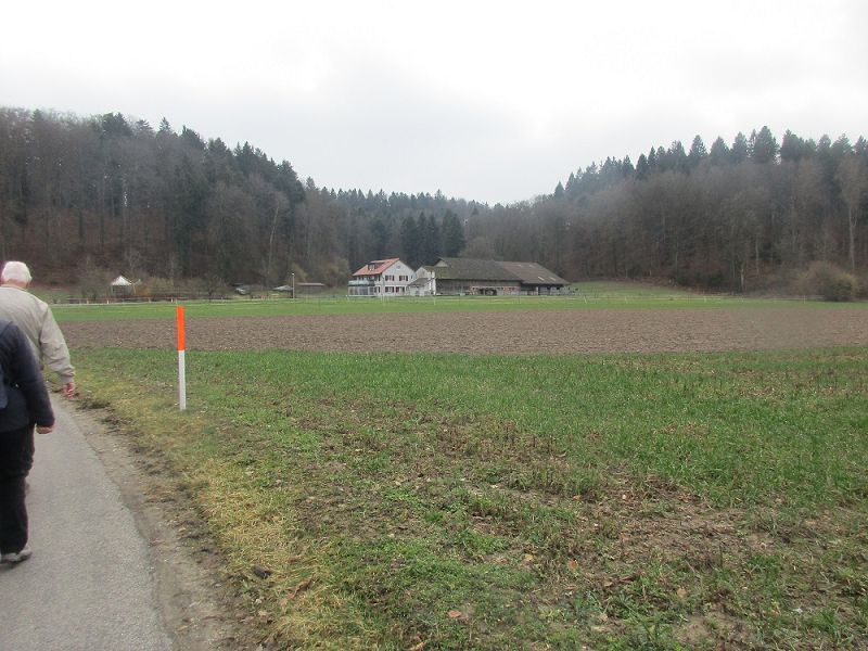 n_Bild (10).jpg