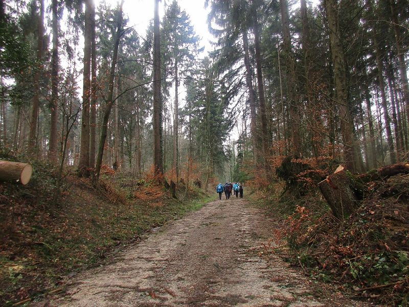 n_Bild (10).jpg