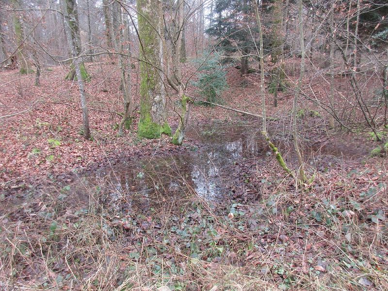n_Bild (10).jpg
