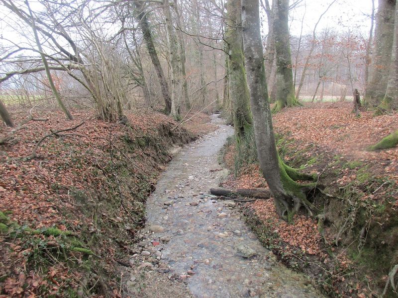 n_Bild (10).jpg