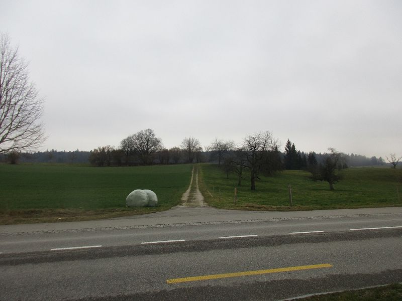n_Bild (10).jpg