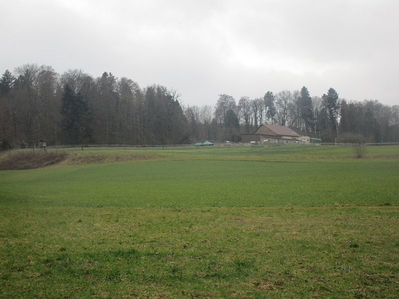 n_Bild (10).jpg