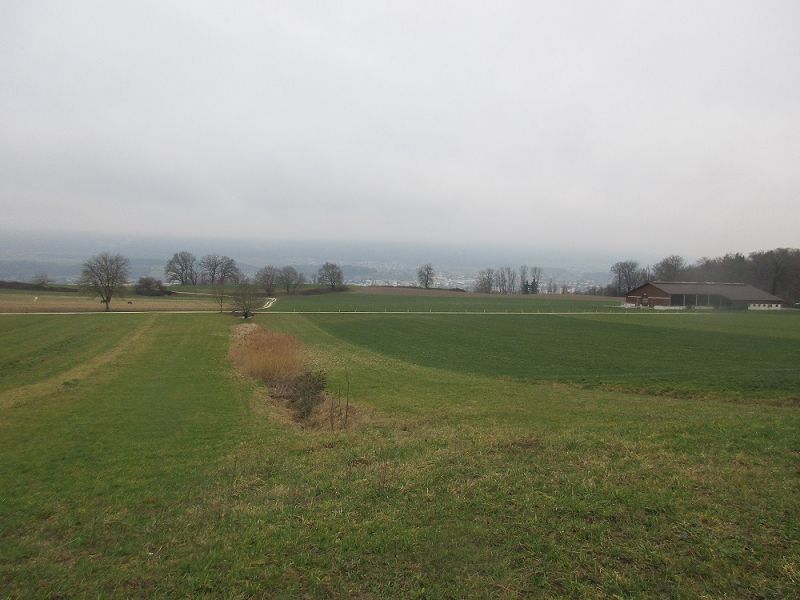 n_Bild (10).jpg