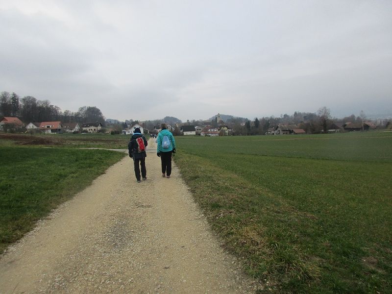 n_Bild (3).jpg