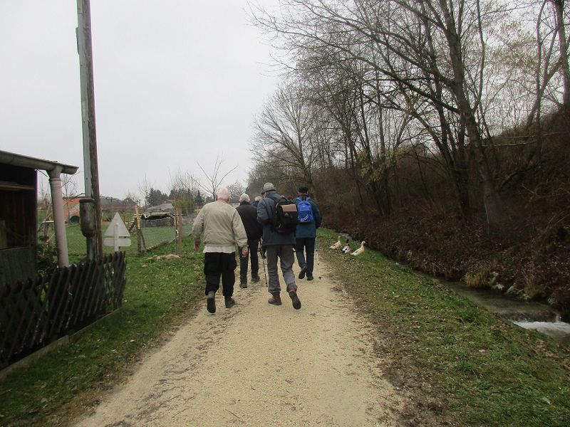 n_Bild (10).jpg
