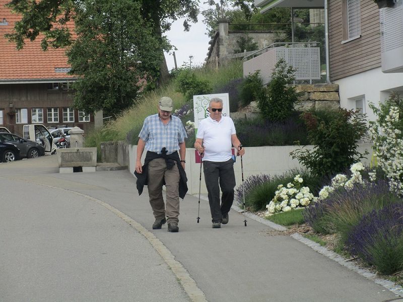 n_Bild (10).jpg