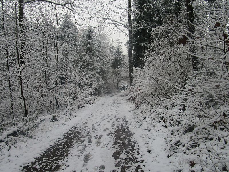 n_Bild (10).jpg