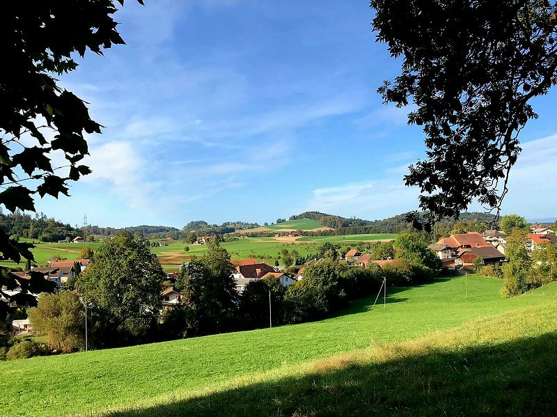 n_Bild (10).jpg