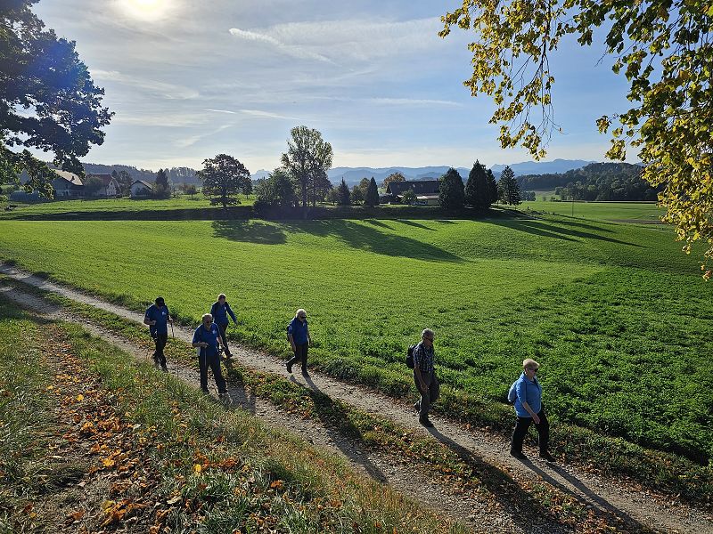 n_Bild (10).jpg