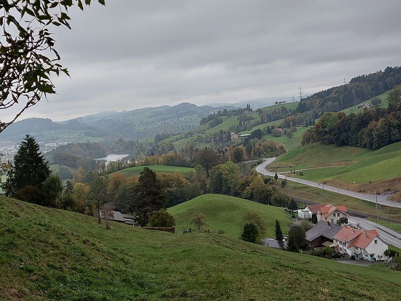 n_Bild (10).jpg