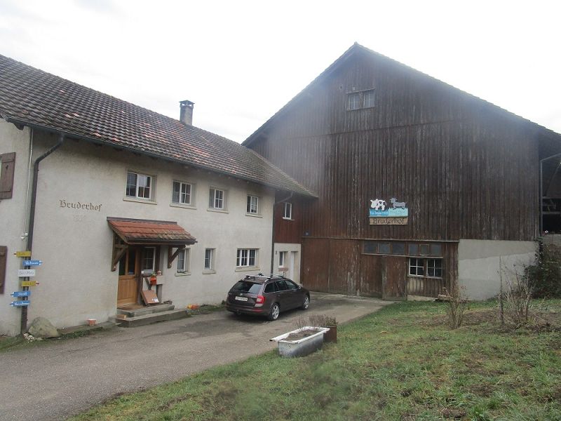 n_Bild (10).jpg