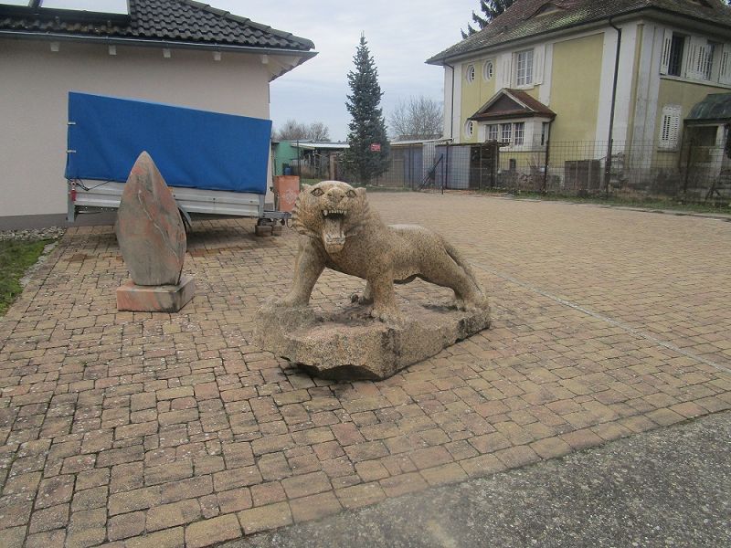 n_Bild (10).jpg