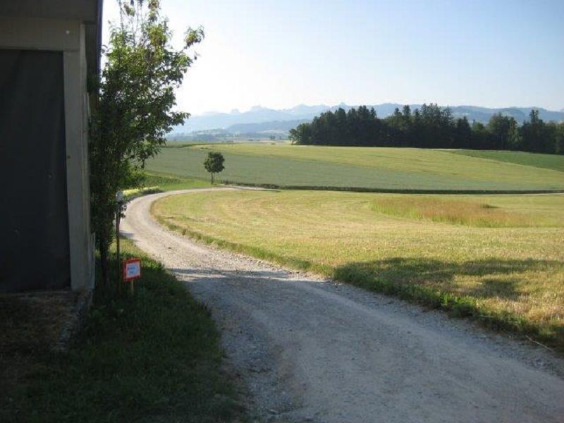 n_Bild (10).jpg