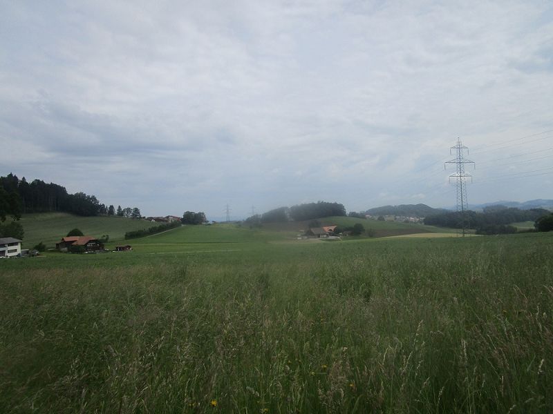 n_Bild (10).jpg