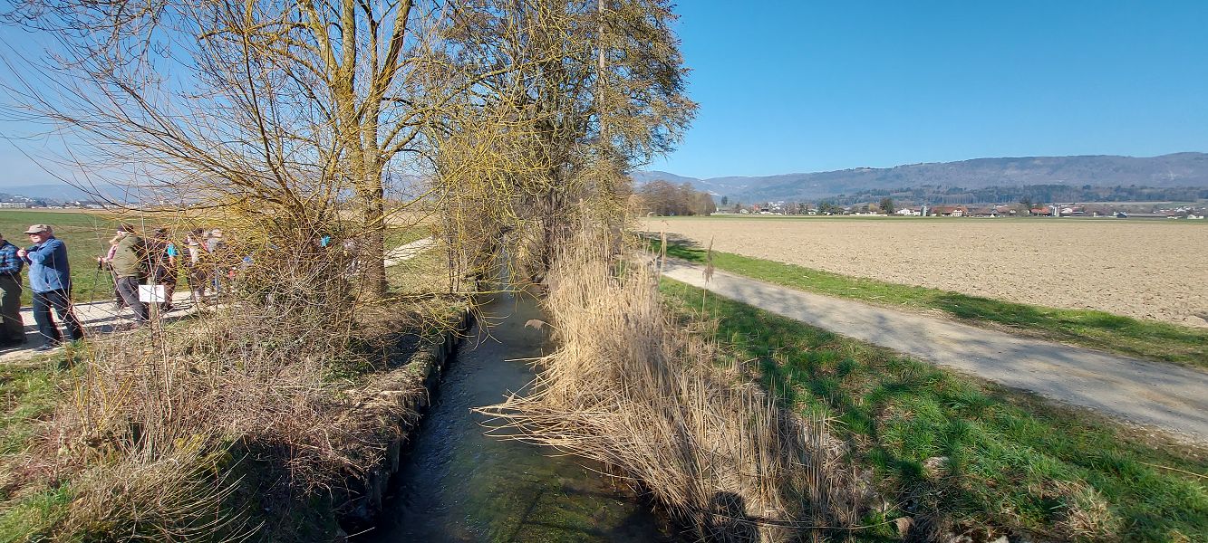n_Bild (10).jpg